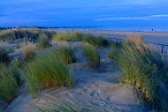 dune sabbia