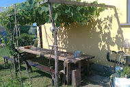 pergola viti